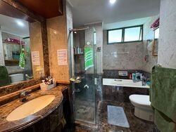 Signature Park (D21), Condominium #581359081